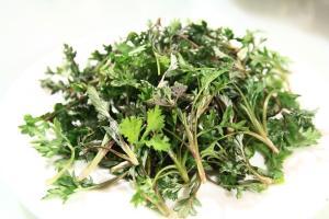 CH 천연 불가리스쑥추출물 CH Natural Artemisia Vulgaris Extract