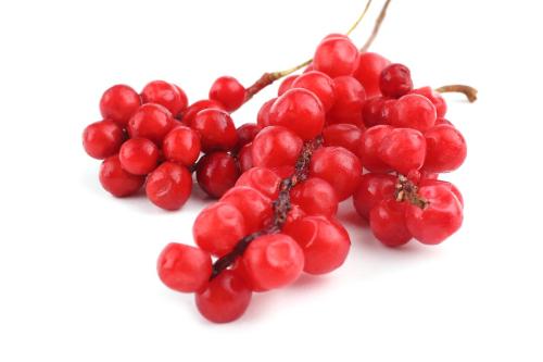CH 천연 오미자추출물-P CH Natural Schisandra Chinensis Fruit Extract-P