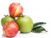 CH  ⹰
 CH Organic Pyrus Malus (Apple) Friut Extract