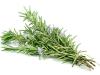 CH 천연 로즈마리잎추출물-P CH Oragnic Rosemary Leaf Extract-P