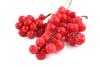 CH õ ⹰-P
 CH Natural Schisandra Chinensis Fruit Extract-P